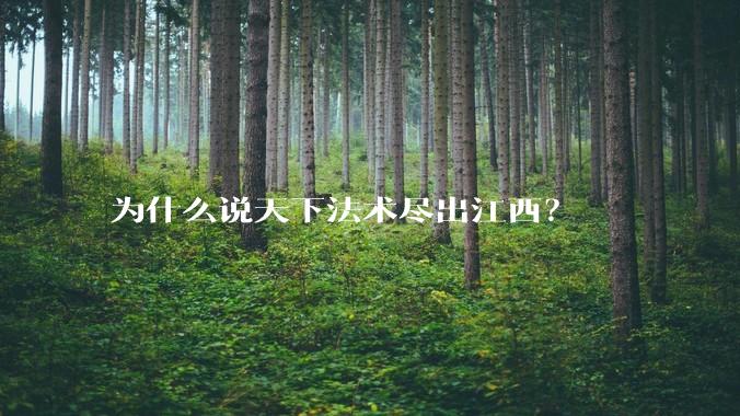 为什么说天下法术尽出江西？
